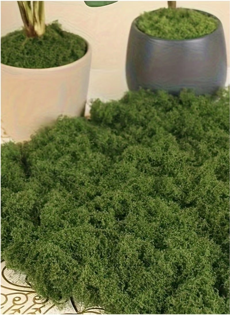 Ayshal 200g Moss Grass Perfectly Simulates Artificial Moss Fake Green Grass for Centerpieces Home Kitchen Garden Decor Preserved Forest Moss - Image 5